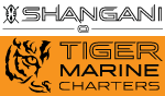shangani-logo-finflix-design-studio