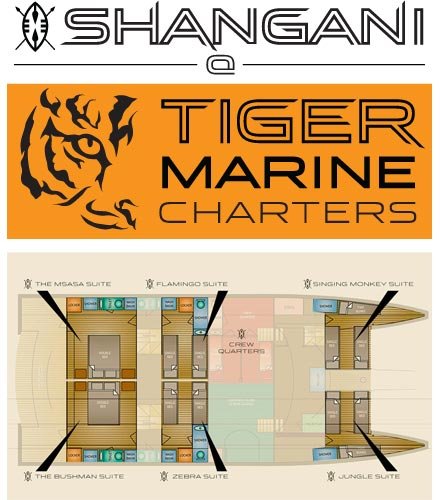 tiger-marine-finflix-web-design-phuket-3