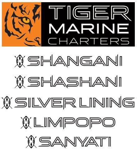 yacht charter web design phuket logo design finflix tiger marine charter