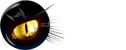 finflix graphic design studio website logo photography phuket